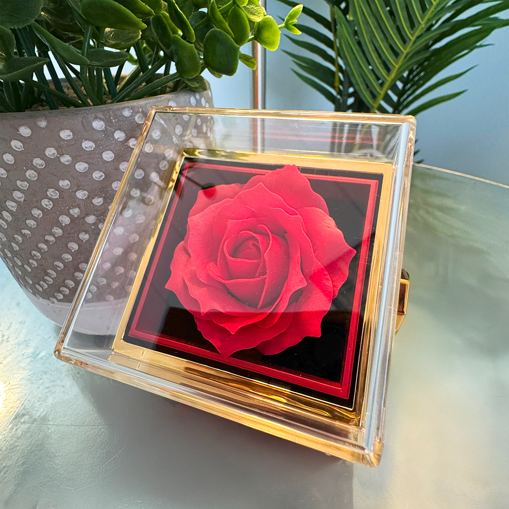 Personalized "I'm Sorry" Gift: Love Knot Necklace with Rose Box